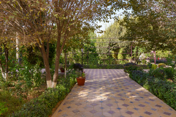 istock A path in a garden with a potted plant on it 2185663845