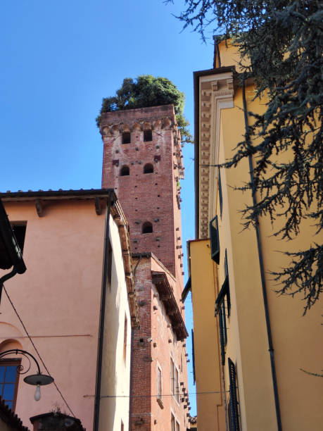 istock Guinigi tower, Lucca, Tuscany 2185668173