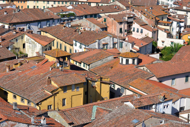 Pisa, Tuscany, Italy. 06/21/2019. Baptistery, walls and typical houses of the city. The dome of one of the buildings in Piazza dei Miracoli and the city walls.