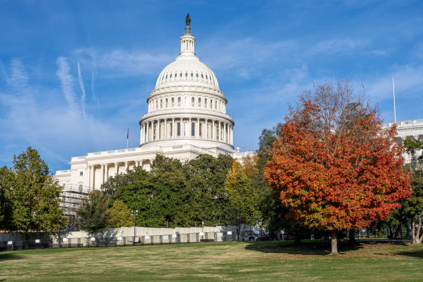 istock The imposing United States Capitol in Washington DC 2185673727