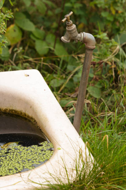 istock Tap next to old bath in an allotment filled with water and algae 2185680052
