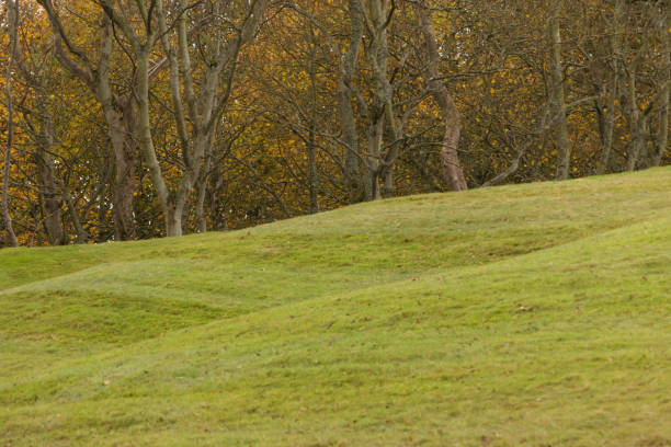 Green grass smooth even golf course field among the hills in France. Professional sport and hobby, entrtainment during traveling or vacations. Grassy surface maintenance