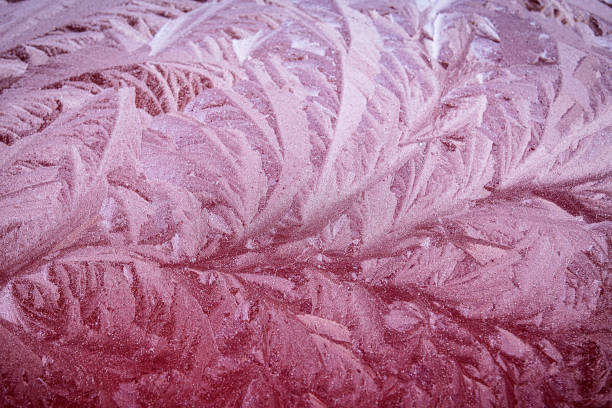 Ice flowers on the front window of the car