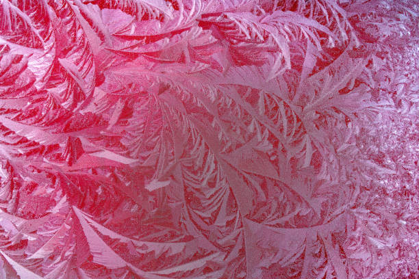 Ice flowers on the front window of the car