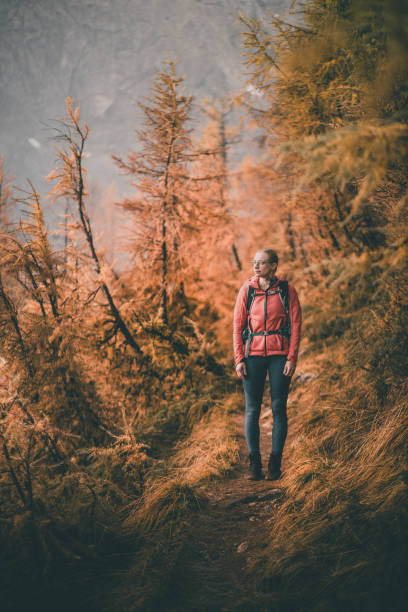 istock Young woman backpacks through larch forest in autumn 2185684636
