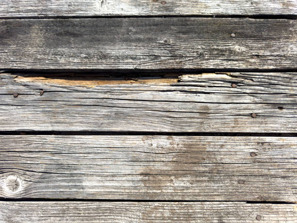 istock A wooden surface with a grainy texture and a few holes 2185685453