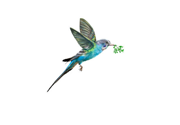 Four brightly colored budgerigars—turquoise, yellow, blue, and green—are perched side by side on a wooden stick inside a cage. The birds' soft plumage and calm demeanor create a visually pleasing and peaceful composition, with vertical cage bars in the background emphasizing their enclosed environment.