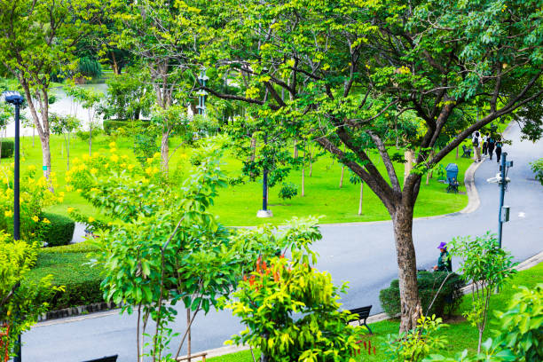 High angle view into Chatuchak Park in Bangkok Chatuchak - view from footbridge near BTS station MoChit at Phahonyothin Road. A group of young thai adults and university students is walking on pathway in right top area. Rear view of walking people. A park staff is watering plants with water hose.