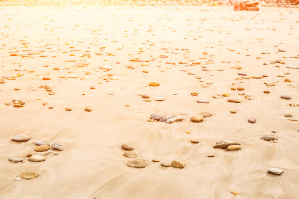 Small rocks scattered on beach sand close up.Shallow depth of field.Selective focus on foreground rocks.Blurred background of multicolor stones of different shapes and sizes,ocean waves,overcast sky