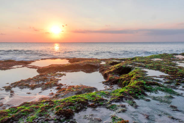 Tegal Wangi Beach is one of the favorite places for local and foreign tourists to enjoy the sunset