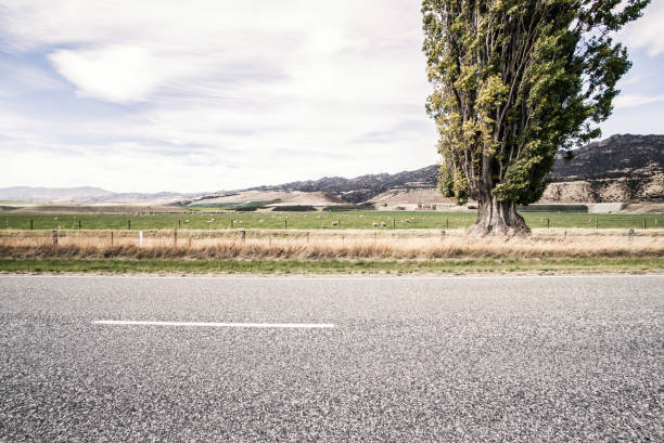 Picturesque landscape scene and sunrise above road