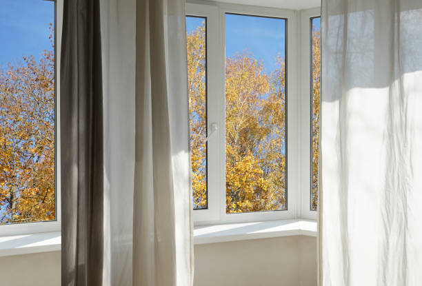istock View from the window, yellow trees, landscape with forest. 2185697225