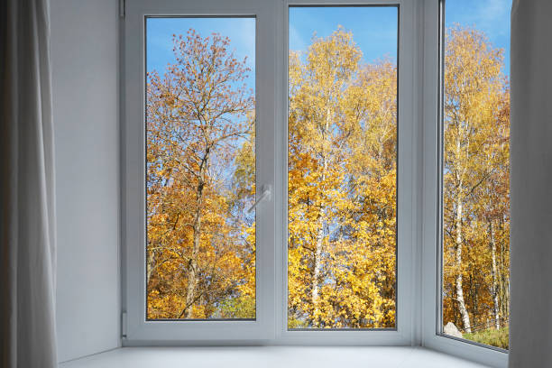istock View from the window, yellow trees, landscape with forest. 2185697227