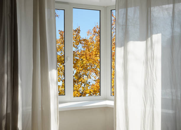 istock View from the window, yellow trees, landscape with forest. 2185697228