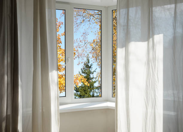 istock View from the window, yellow trees, landscape with forest. 2185697230