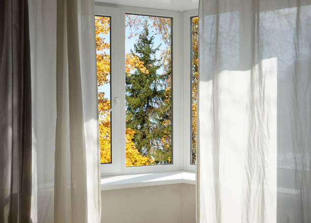 istock View from the window, yellow trees, landscape with forest. 2185697234