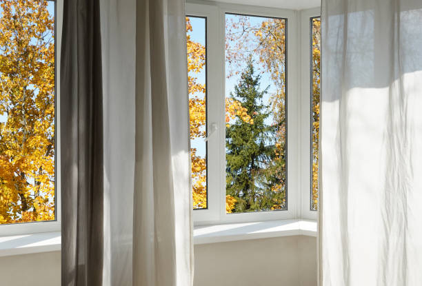 istock View from the window, yellow trees, landscape with forest. 2185697236