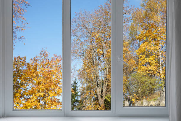istock View from the window, yellow trees, landscape with forest. 2185697237