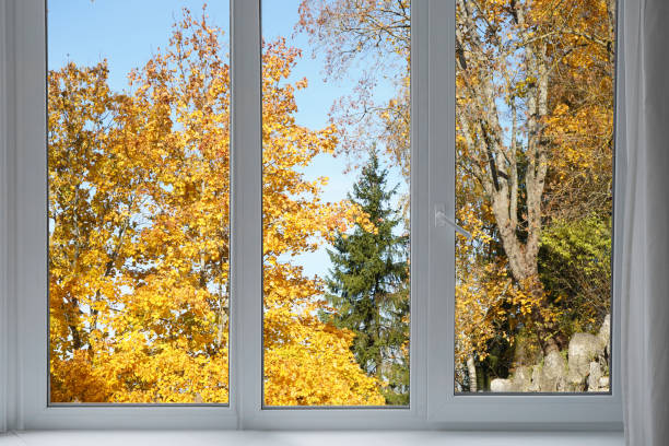 istock View from the window, yellow trees, landscape with forest. 2185697240