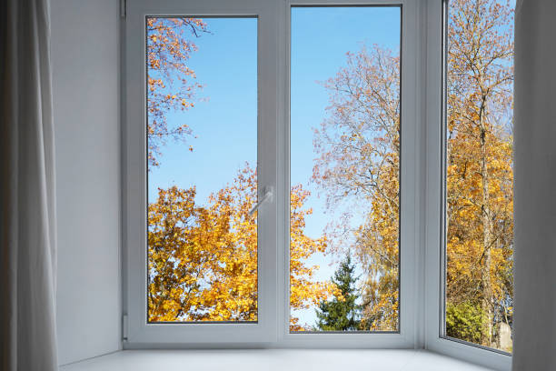 istock View from the window, yellow trees, landscape with forest. 2185697243
