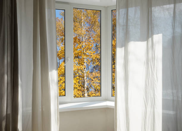 istock View from the window, yellow trees, landscape with forest. 2185697246