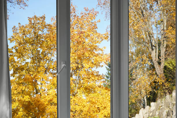 istock View from the window, yellow trees, landscape with forest. 2185697250