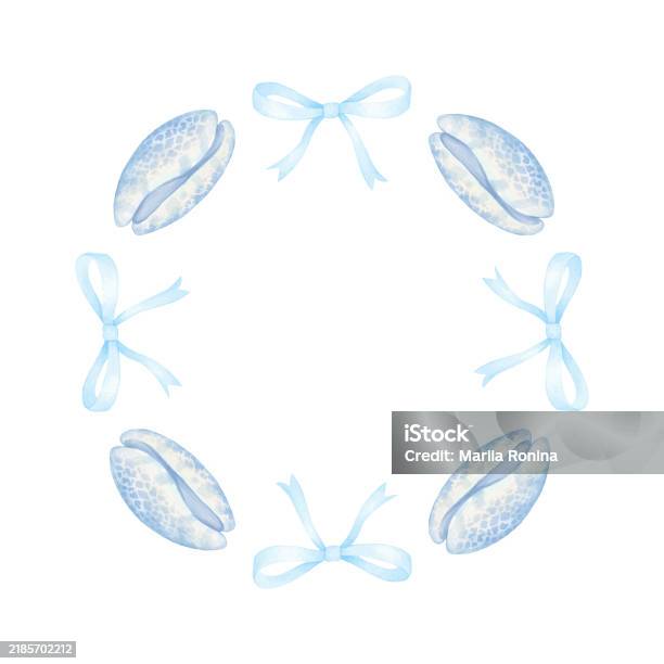 Shell Frame And Bow 6 Stock Illustration - Download Image Now - Animal ...