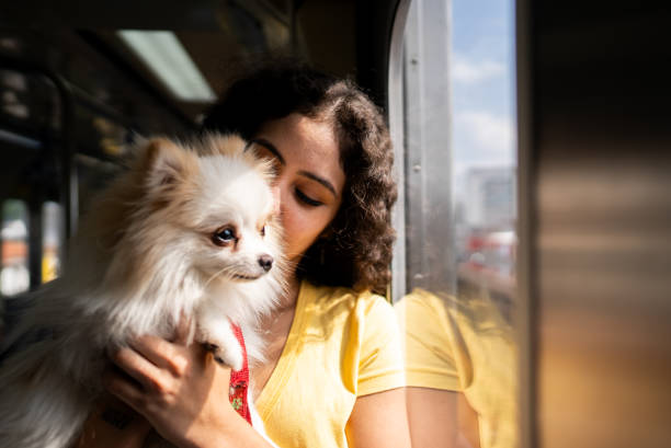istock Young woman carrying dog on a train 2185702333