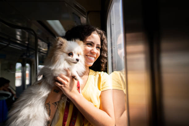 istock Young woman with dog looking out the window on a train 2185702348