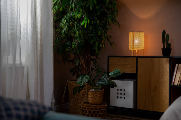 istock A Cozy Living Space Featuring Charming Indoor Plants and Soft Ambient Lighting Effects 2185704630