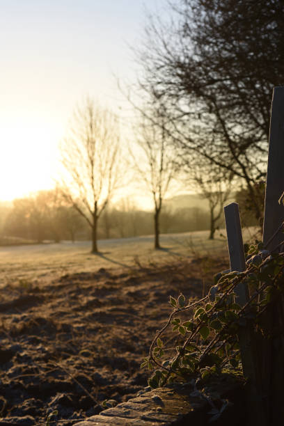 golden sunrise in the countryside.