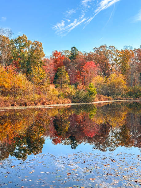 istock A forest and autumn color reflected in a tranquil lake 2185707547