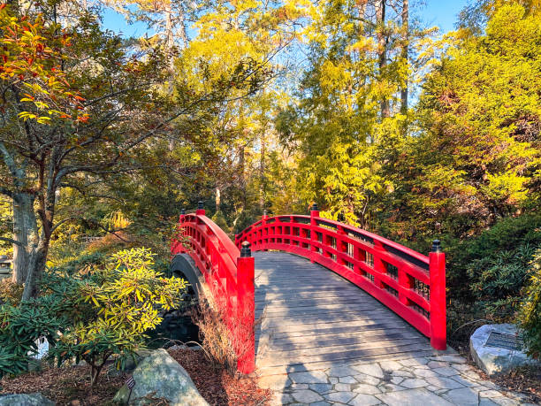 istock Beautiful red bridge in a Japanese Garden 2185707610