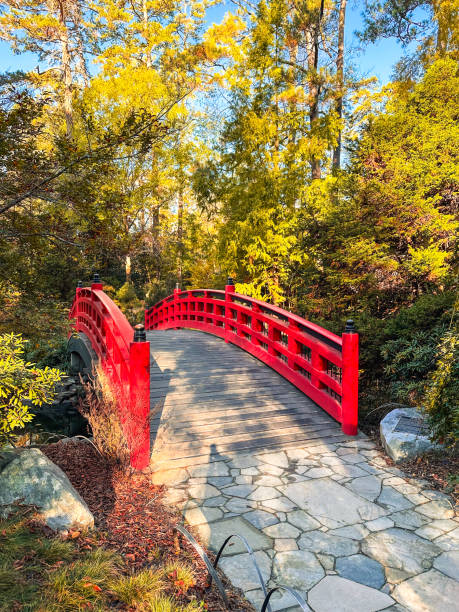 istock Beautiful red bridge in a Japanese Garden 2185707612