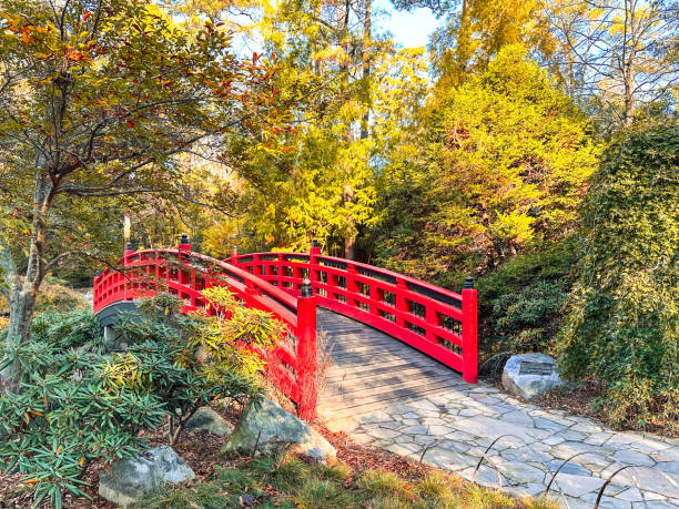 istock Beautiful red bridge in a Japanese Garden 2185707629