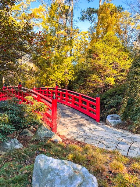 istock Beautiful red bridge in a Japanese Garden 2185707631