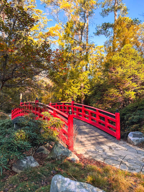 istock Beautiful red bridge in a Japanese Garden 2185707669