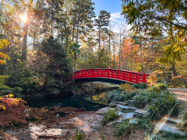 istock Beautiful red bridge in a Japanese Garden 2185707670