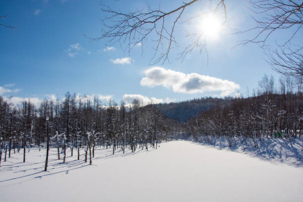 istock Snow-covered winter blue pond in Biei with blue sky 2185708492