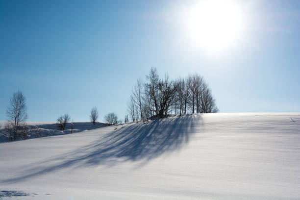 istock Thickets on the snowy hills and blue sky 2185708813