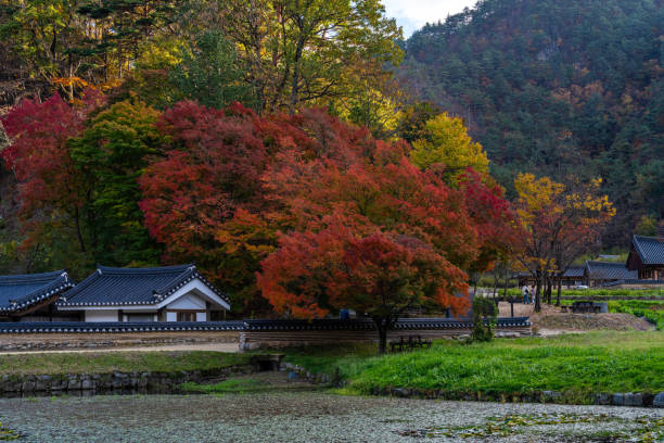 istock Buddhist temple garden with pond and maple trees in autumn 2185709445