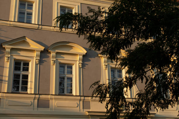 The exterior view of a historic building showcases an array of decorative windows, striking columns, and elegantly cascading tree branches, presenting a picturesque urban scene