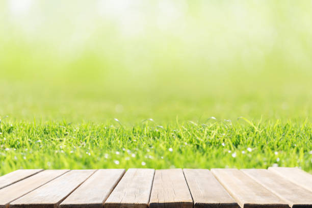 istock Empty wooden table and field of fresh green grass as background 2185715414