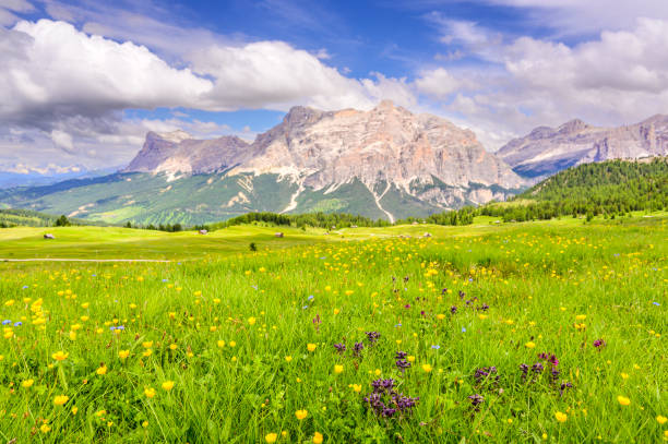 istock Alta Badia mountain alm in the Dolomites 2185715513