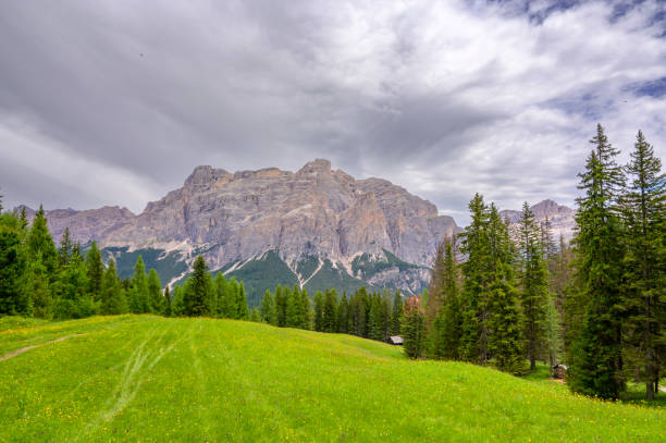 Alta Badia idyllic mountain alm over Corvara in the Dolomites during springtime. View towards the Fanes Group with the Piz dles Cunturines, or Conturines Peak in the background.
