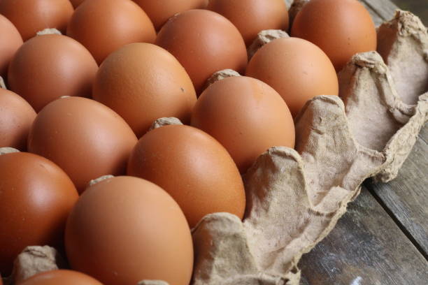 istock Chicken eggs on carton tray 2185718677