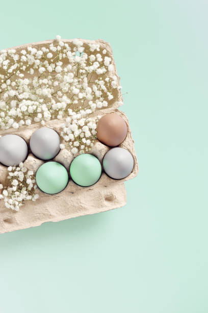 istock Easter Egg Assortment in Carton with White Baby's Breath on turquoise gradient Background. Pastel dyed eggs in package, spring holiday photo, tender soft hues, celebration food white flowers 2185721340