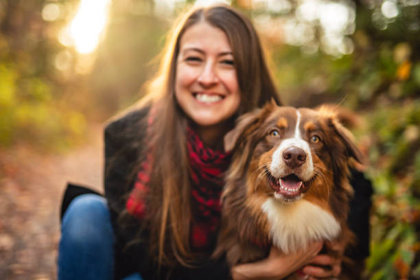 istock Loving young woman with her shepherd Australian on fall season 2185722012