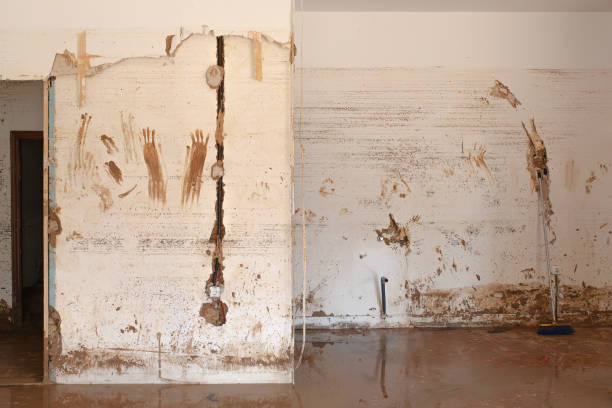 Flood Valencia - DANA. Flood-Damaged Interior Wall with Muddy Handprints and Broom A flood-damaged interior wall covered in mud with visible handprints and a broom leaning against it. Flood Cleanup Services stock pictures, royalty-free photos & images