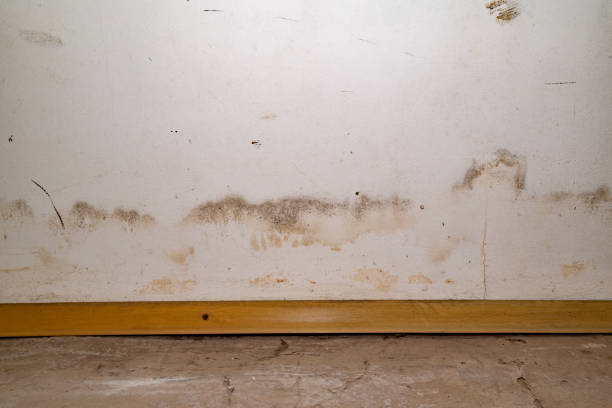 istock Flooding rainwater or floor heating systems, causing damage, peeling paint and mildew 2185722101